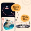 Shark Tracking Bracelet – Track a Real Shark’s Journey – Supports Wildlife Conservation – Elastic, One Size Fits Most – on Interactive Mobile App Map – Unisex Ocean Conservation Gift