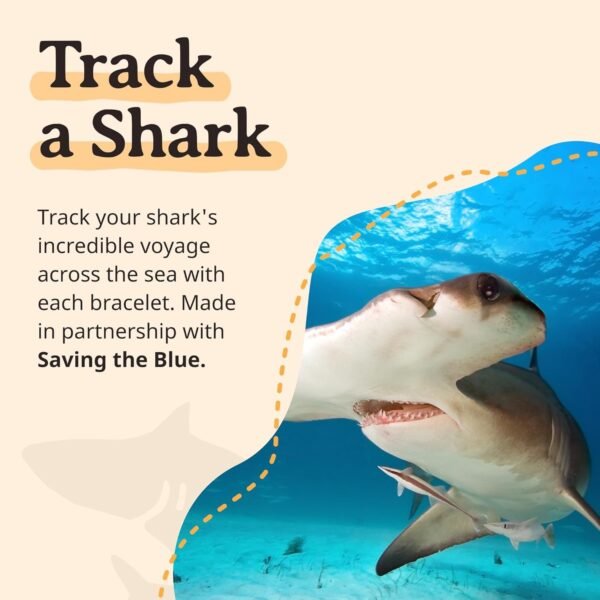 Shark Tracking Bracelet – Track a Real Shark’s Journey – Supports Wildlife Conservation – Elastic, One Size Fits Most – on Interactive Mobile App Map – Unisex Ocean Conservation Gift